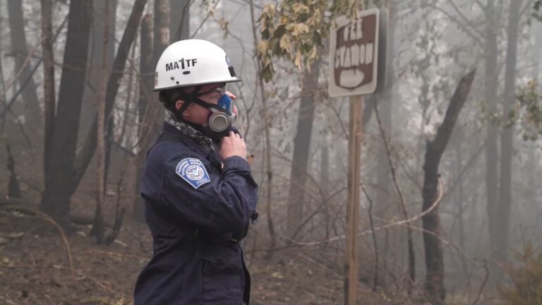 What Does DHS Stand For - Mission and Significance